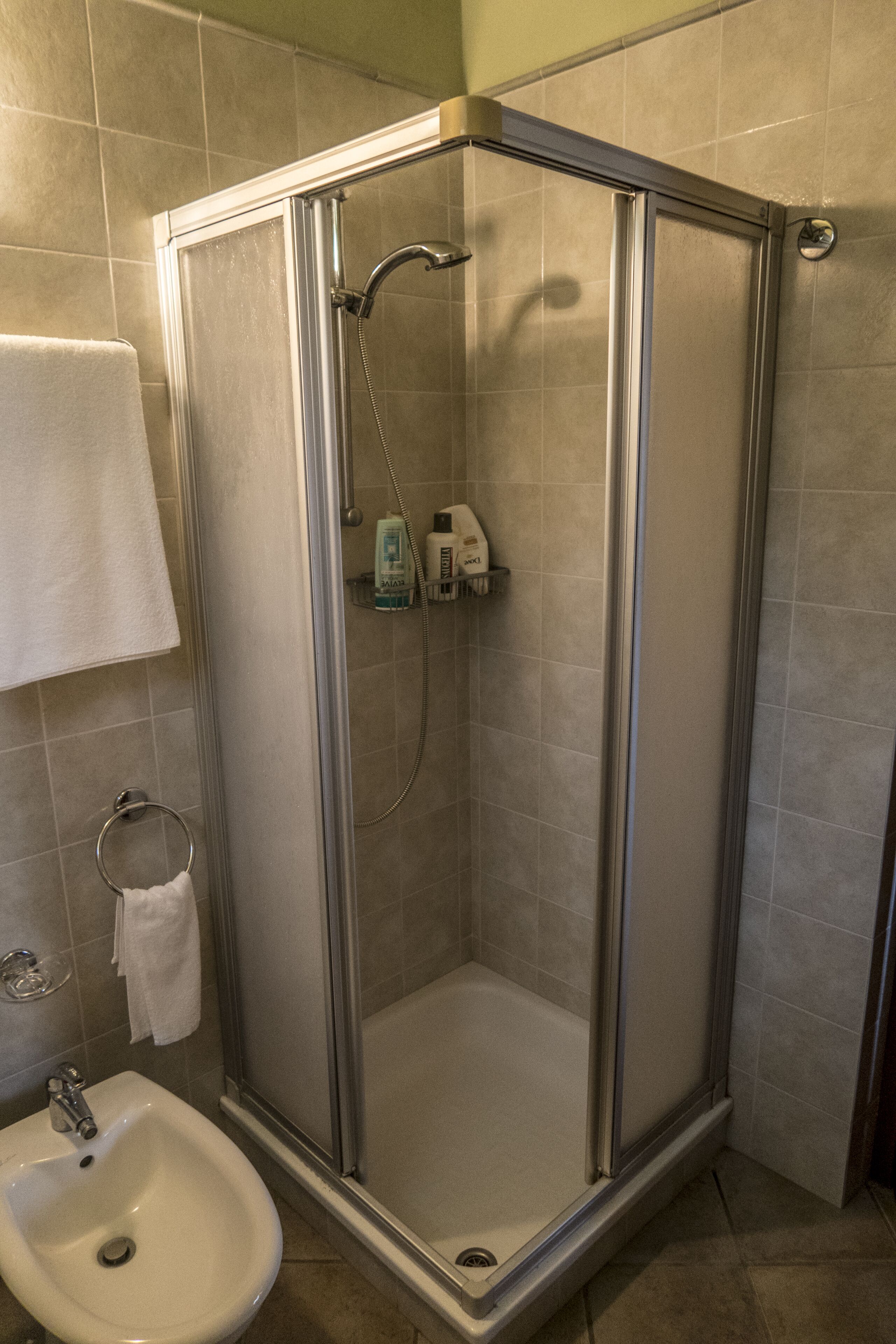 Shower, hair dryer, bathrobes, bidet