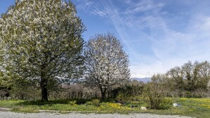 Un chemin de gravier mène à un parc bordé d’arbres, avec une montagne en arrière-plan.