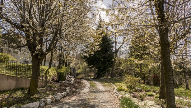 Un chemin de gravier bordé d’arbres et d’arbustes, qui mène à un portail.