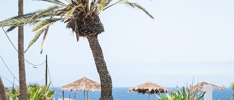 Un patio frente a la playa con palmeras, plantas en macetas y mobiliario exterior.