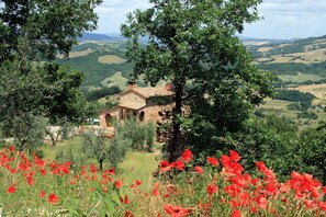 Exterior - Panoramic villa w/private infinity pool & garden (Radicondoli)