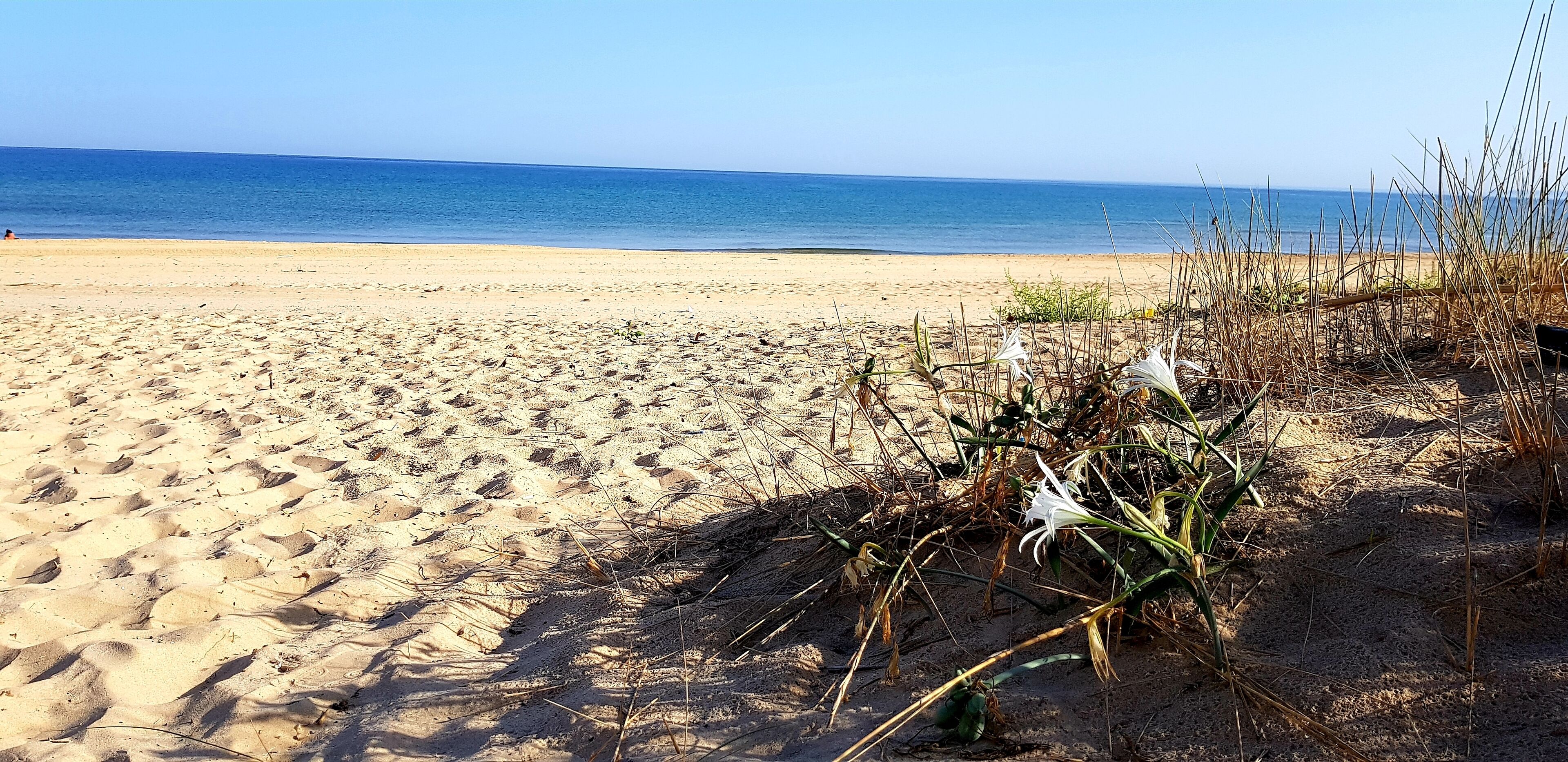 Sur la plage, serviettes de plage