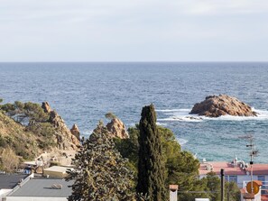 Beach/ocean view