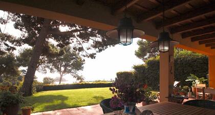 Schöner Garten HOUSE in Mar Menuda