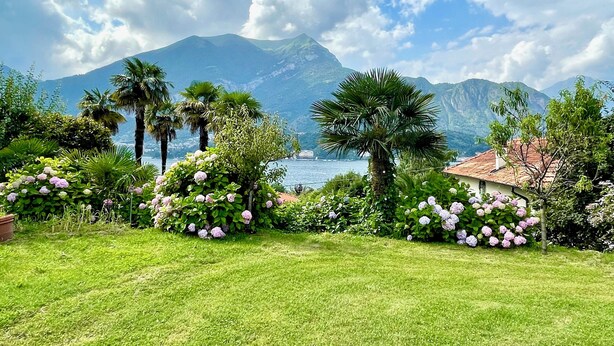 Un jardin luxuriant offrant une vue sur une montagne et un plan d’eau.