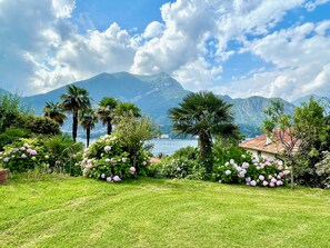 Un giardino rigoglioso con vista su una montagna e un lago.