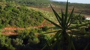 Vista desde una ventana sobre un paisaje montañoso con vegetación y una carretera al frente.
