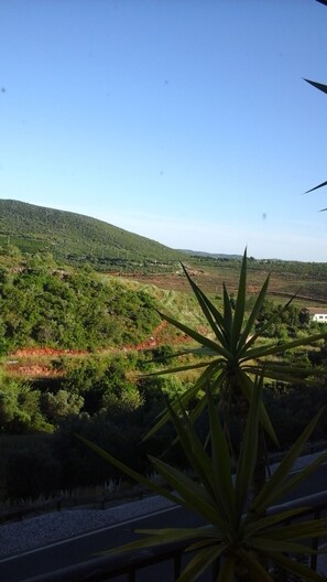 Uitzicht vanuit accommodatie