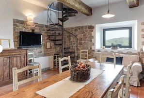 Smart TV, fireplace, books