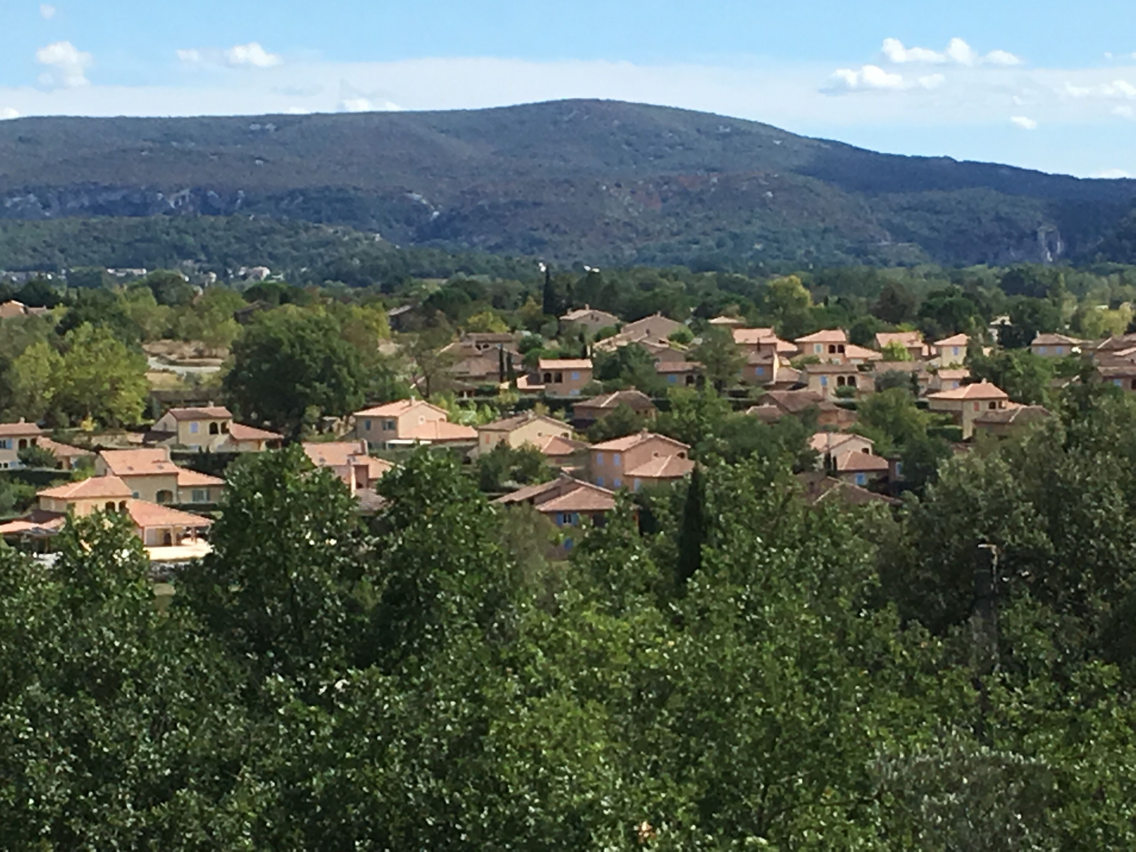 Un quartier résidentiel avec des maisons, une végétation luxuriante et une montagne en arrière-plan.