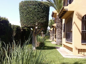 Enjoy the beautifully landscaped outdoor area with lush plants and palm trees.