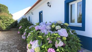 Detalle del exterior