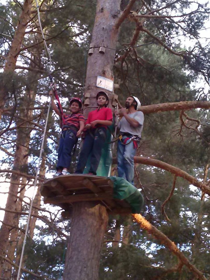 Un groupe de personnes se trouve sur une plateforme installée dans un arbre, équipé de cordes et de matériel de sécurité, et est entouré d’arbres.