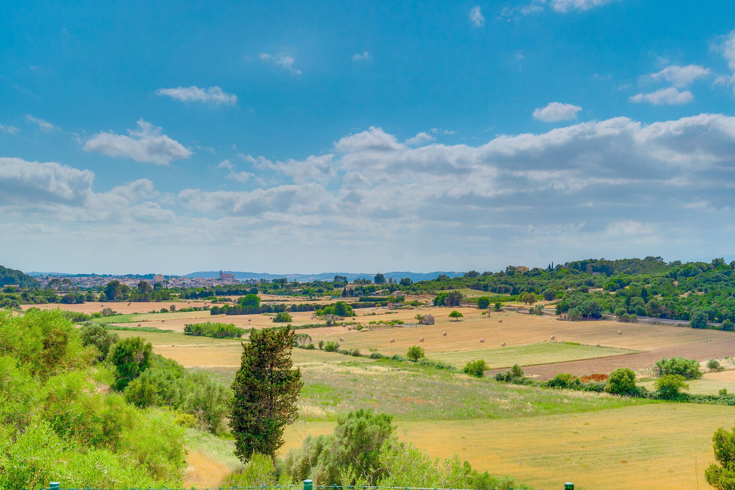 A rural landscape with fields, trees, and a distant town.