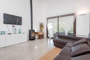 Televisión y chimenea