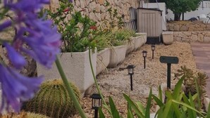 Un jardin aménagé avec des cactus, un mur de pierre et des palmiers.