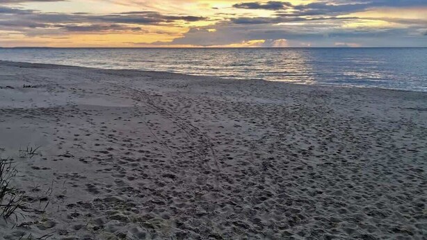 Ein Strand mit Fußabdrücken im Sand und einem Sonnenuntergang im Hintergrund.