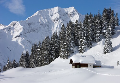entouré de paysages de montagne à couper le souffle, balcon, jardin, aire de jeux, WiFi, grill