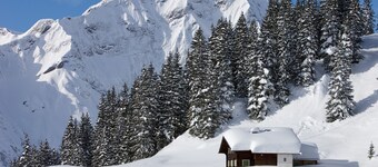 surrounded by breathtaking mountain scenery, balcony, garden, playground, WiFi, grill