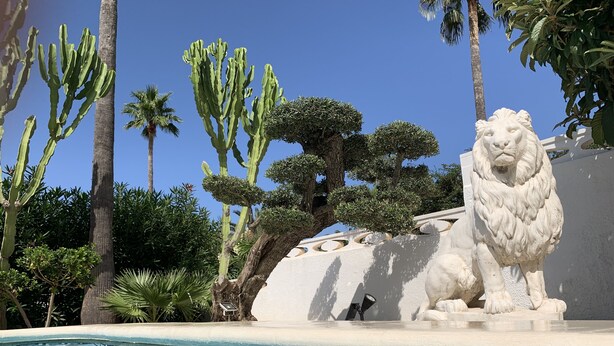 Een zwembadgedeelte met een leeuwenbeeld, cactussen en palmbomen.