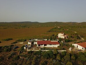 Eksteriør