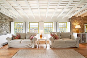 Una televisión, una chimenea, libros