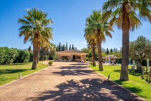 Property grounds - Finca Son Manyo 223 with pool in Mallorca (Sa Pobla)