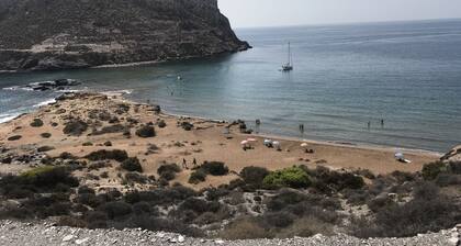 Pink house with pool