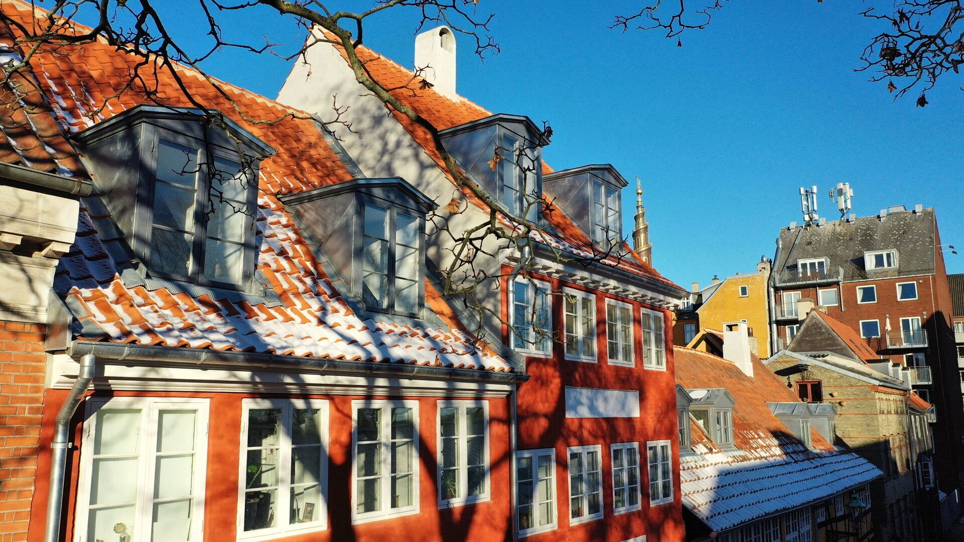 Eksteriør