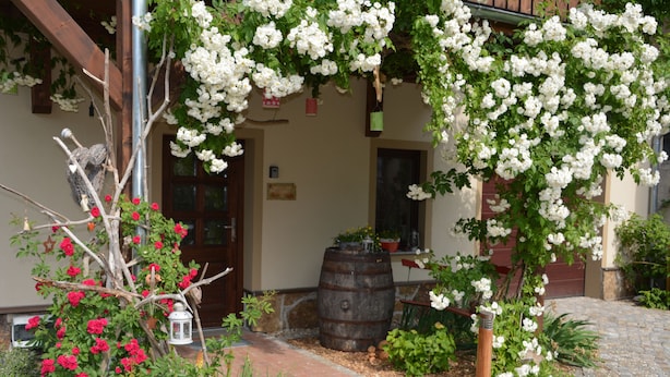 A building with a wooden pergola covered in white flowers, a wooden barrel, and a birdhouse.