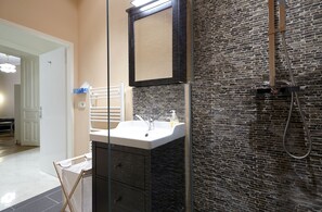 Shower, hair dryer, towels