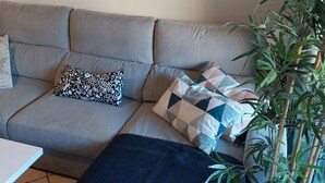 Sala de estar com sofá cinza, almofadas estampadas, manta azul e um vaso com planta.