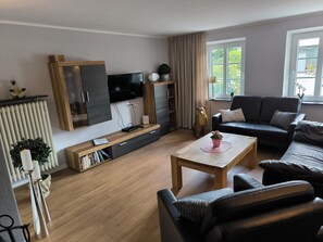 Fernseher, Kamin, Videospielkonsole, DVD-Player