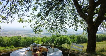 Couples et familles, Montagne et vignobles, Arboretum, Coeur de nature