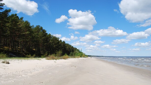 A sandy beach with a forested area and a clear sky. - Vacation home Jūrmalas Priedes (Apšuciems)
