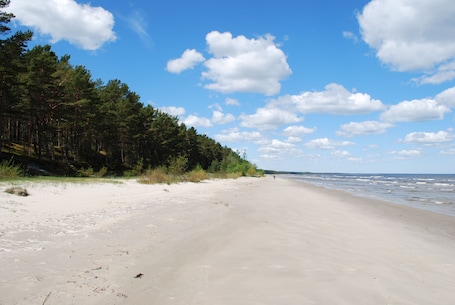 On the beach. Vacation home Jūrmalas Priedes