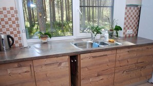 A kitchen with wooden cabinets, a stainless steel sink, and two potted plants on the counter. - Vacation home Jūrmalas Priedes (Apšuciems)