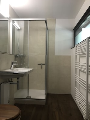 Bathroom features a glass-enclosed shower, standalone sink, and toilet.