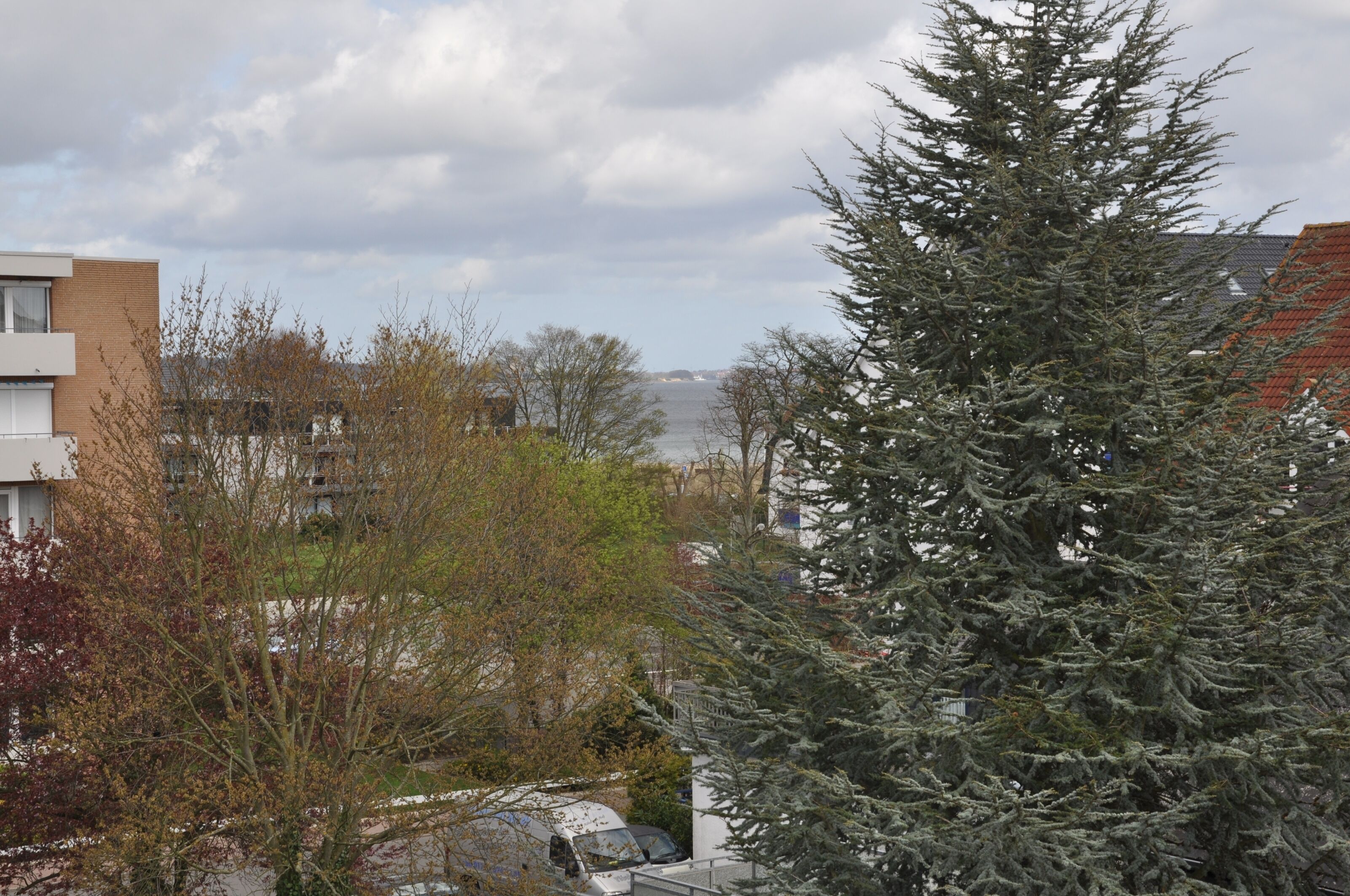 A residential area with a view of the sea, featuring a tall evergreen tree and a building with a red roof.