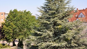 Un barrio residencial con un gran árbol de hoja perenne y una casa de techo rojo.