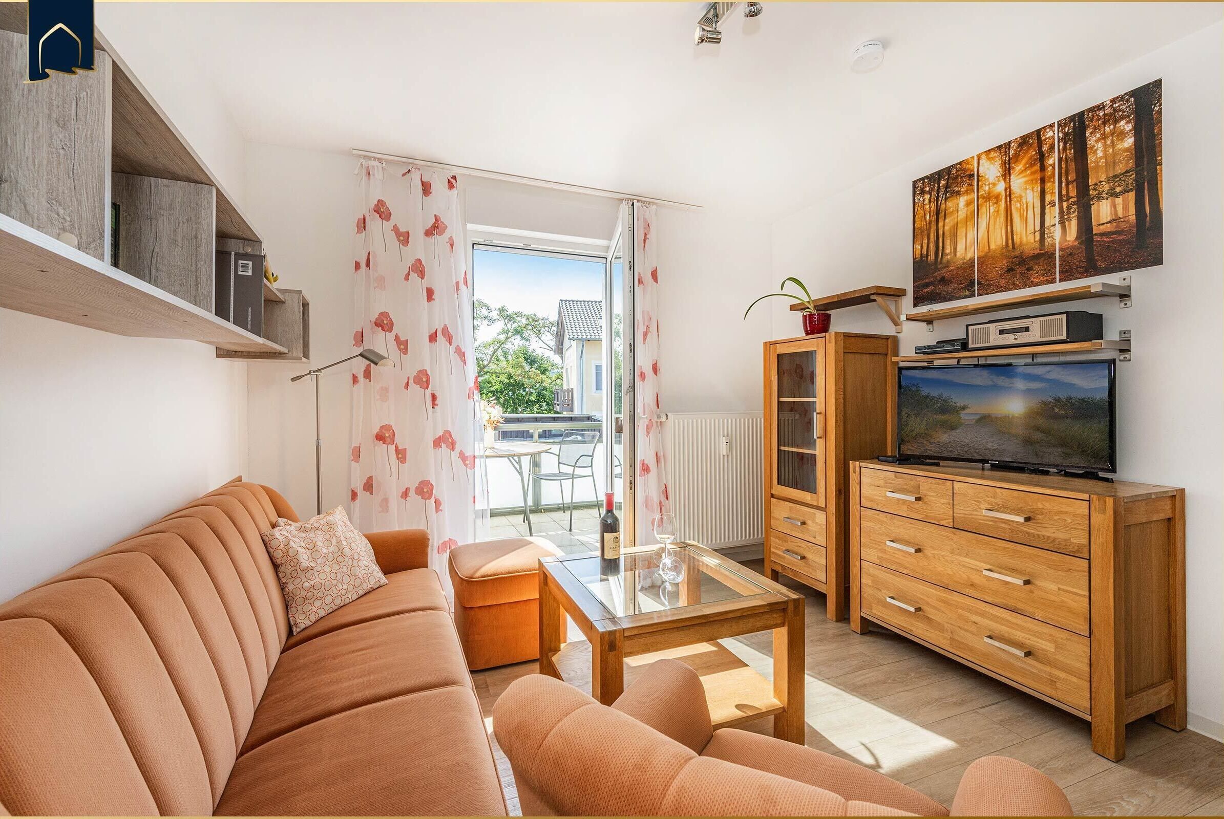 TV, DVD player, books, music library