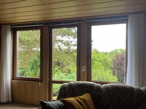 TV, DVD player, books, video library - Directly at the Bleilochtalsperre - pure nature experience - Finnhütte Karli Saaldorf (Bad Lobenstein)