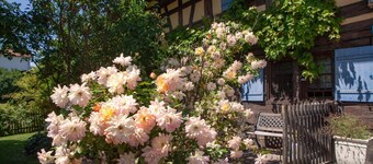 The historic Vogtshof - romantic garden, listed building