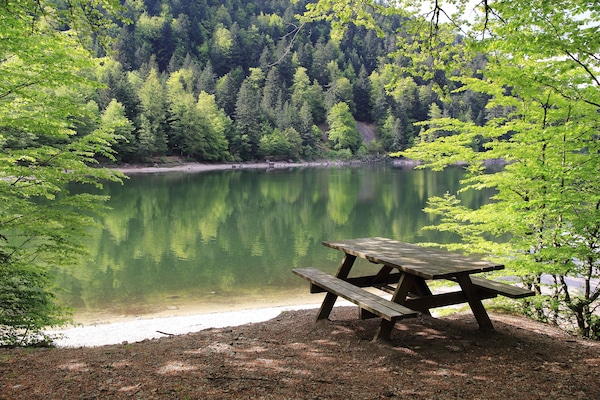 zahlreiche Seen