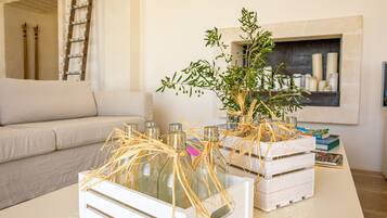 TV, fireplace, table tennis, books