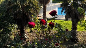 A view of a lush garden with palm trees and red roses, a pool, and a distant village.