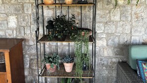 A metal plant stand with terracotta pots against a stone wall.