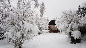 Skov dækket af sne med en træbygning i midten.