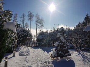 Terrain de l’hébergement 