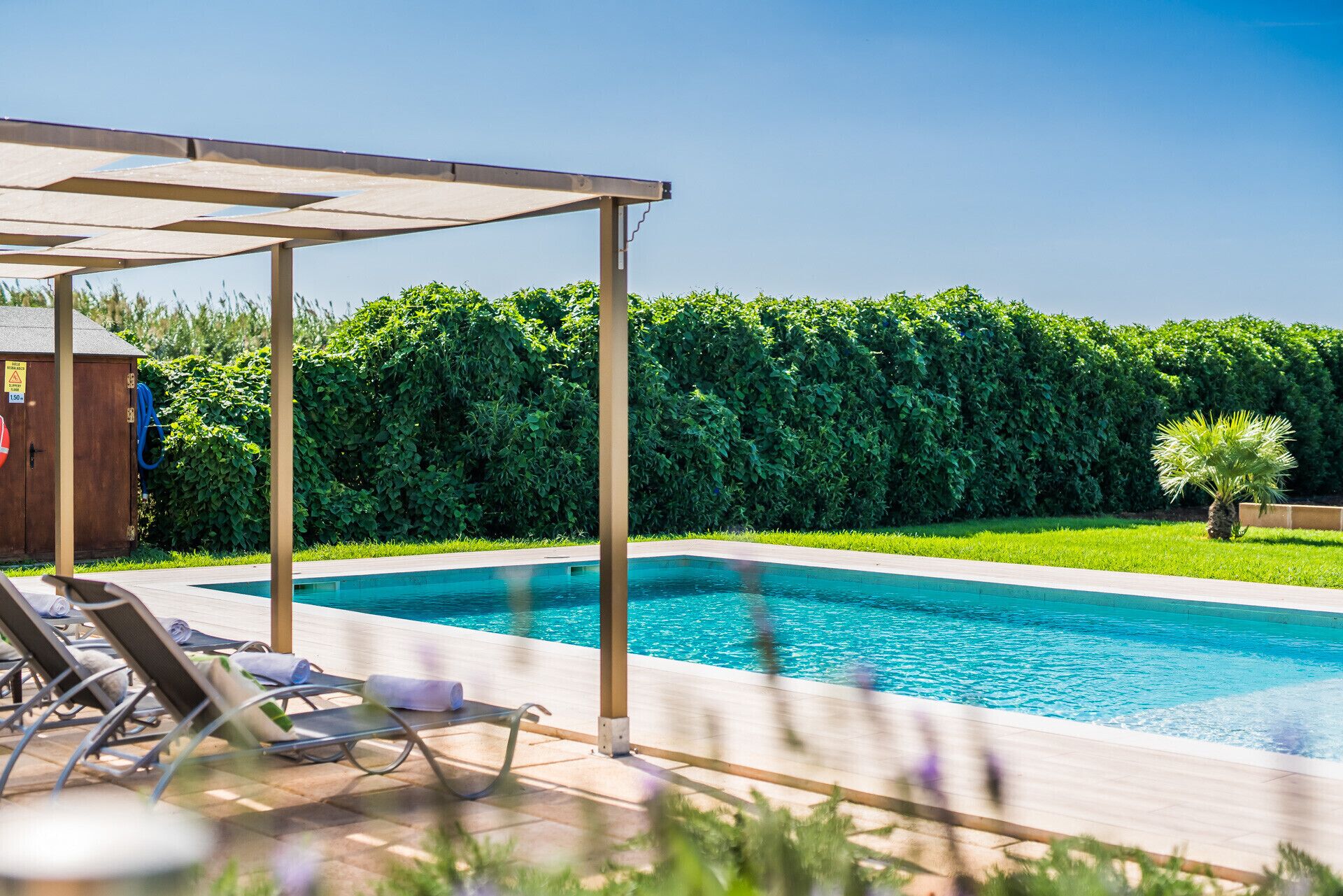 A swimming pool with lounge chairs and a pergola, surrounded by lush greenery.